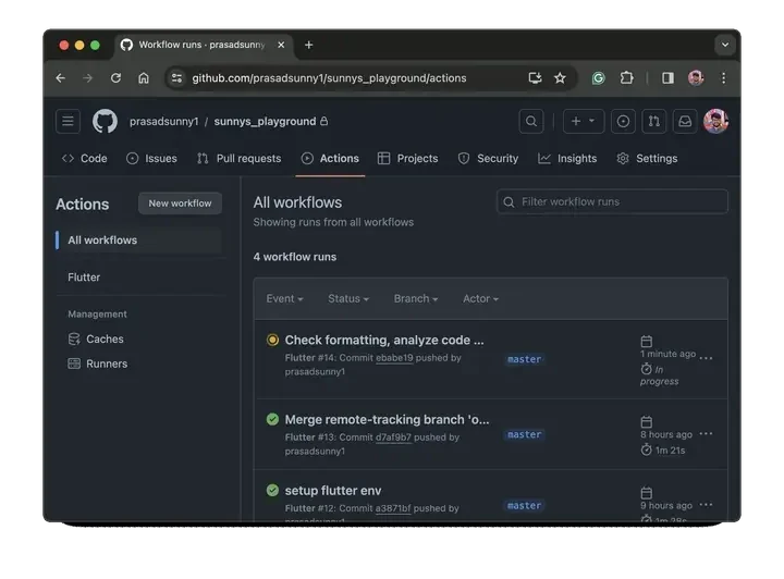 GitHub Actions list of workflow runs for the sunnys_playground repository